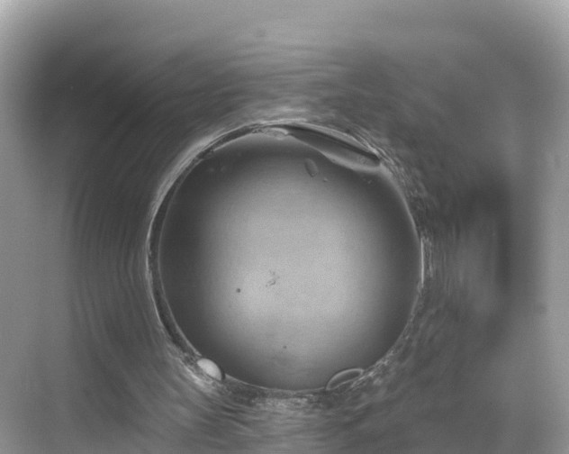 X0000068820147200605081154