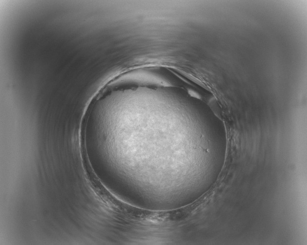 X0000068820148200605081154