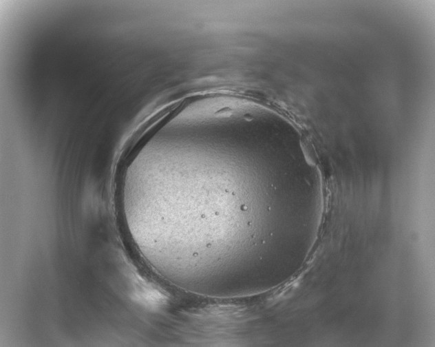 X0000068820150200605081154