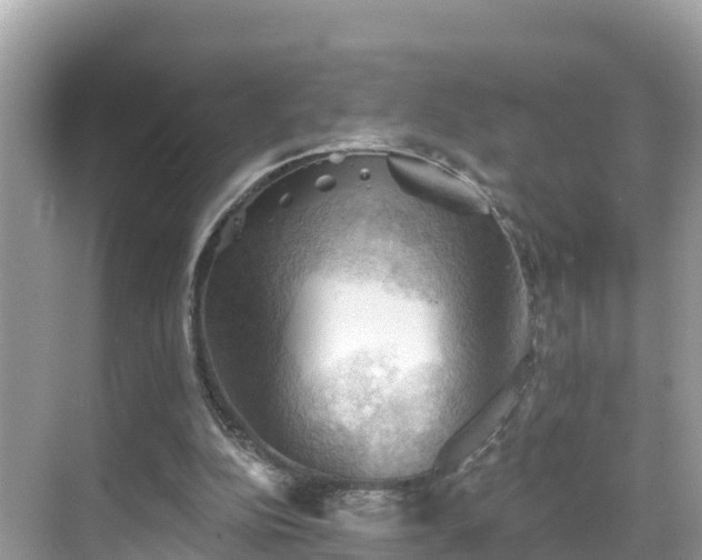 X0000068820152200605081154