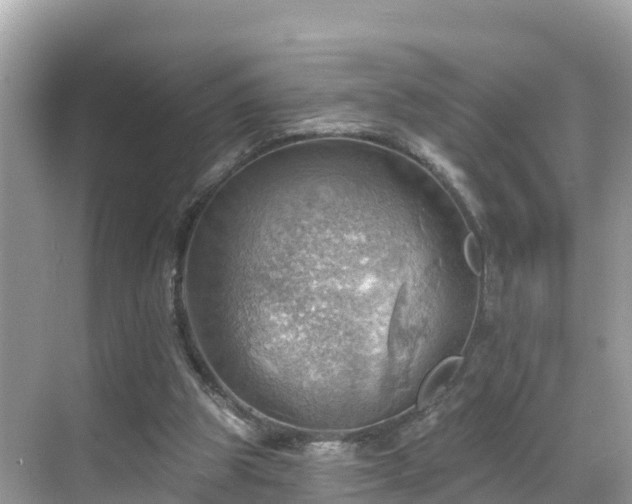 X0000068820153200605081154