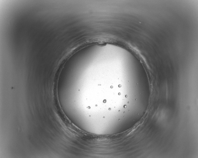 X0000068820154200605081154