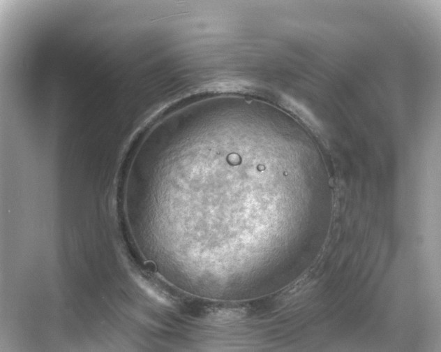 X0000068820155200605081154