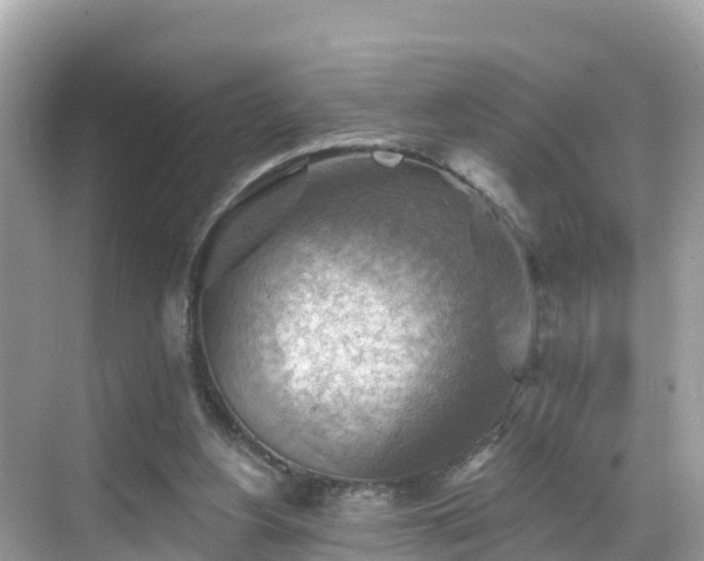 X0000068820156200605081154