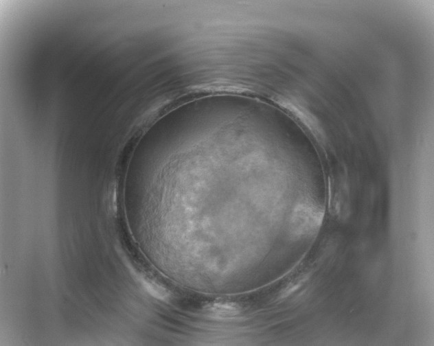 X0000068820157200605081154