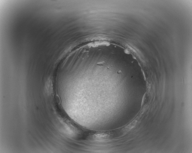 X0000068820158200605081154