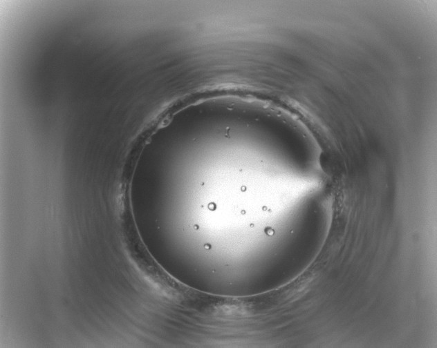 X0000068820160200605081154