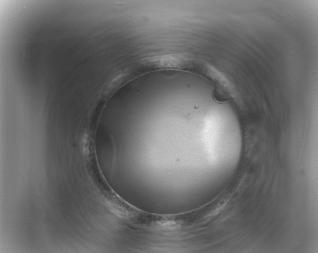 X0000068820161200605081154