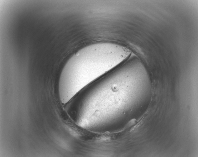 X0000068820162200605081154