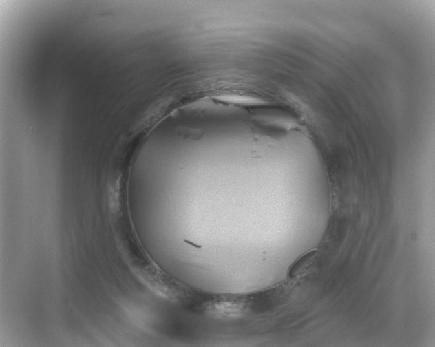 X0000068820163200605081154