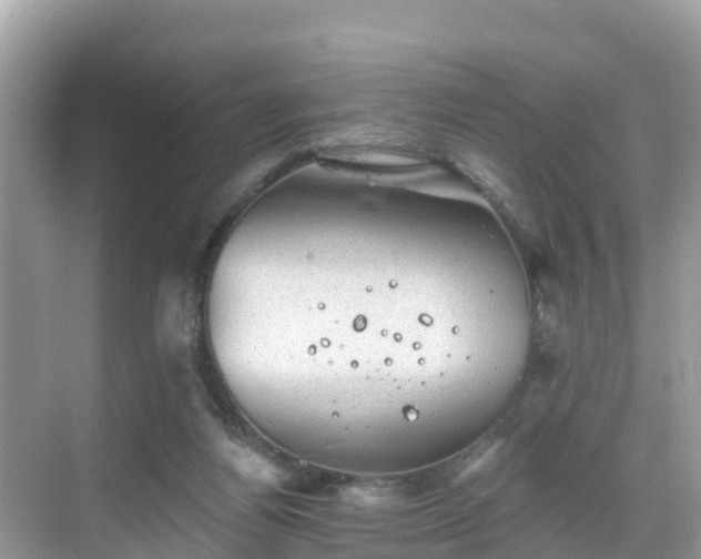 X0000068820164200605081154