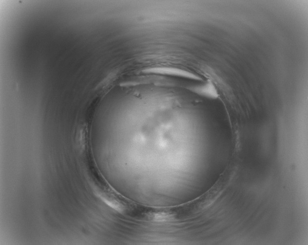 X0000068820165200605081154