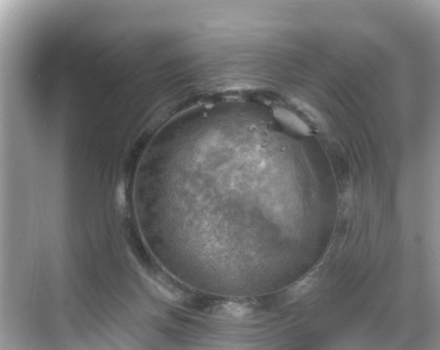 X0000068820166200605081154