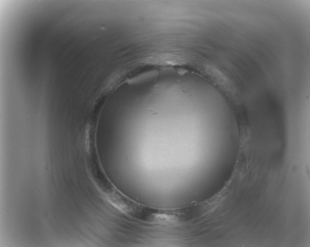 X0000068820167200605081154