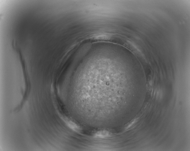 X0000068820168200605081154