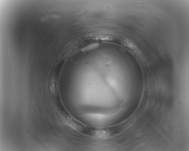 X0000068820169200605081154