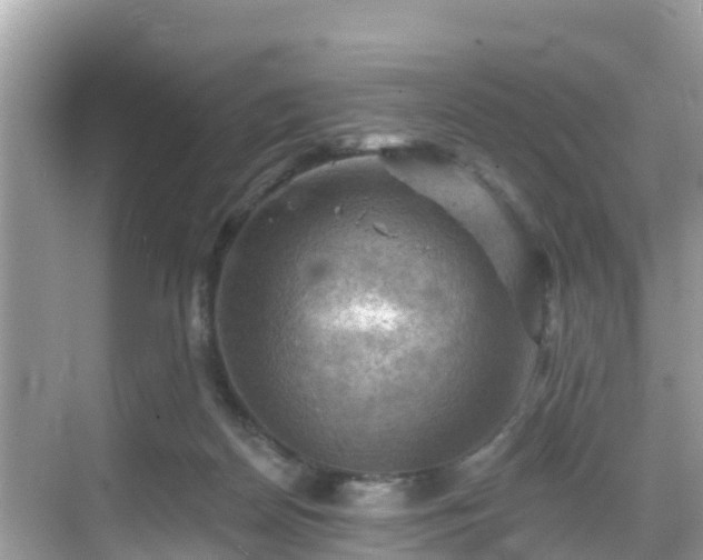 X0000068820170200605081154