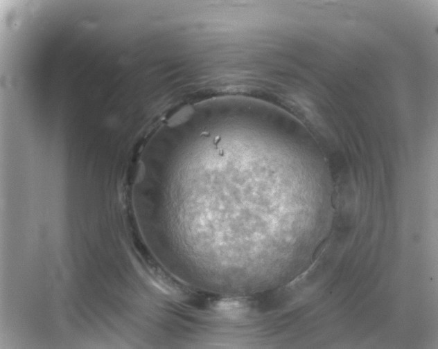 X0000068820171200605081155