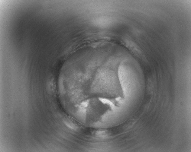 X0000068820173200605081155