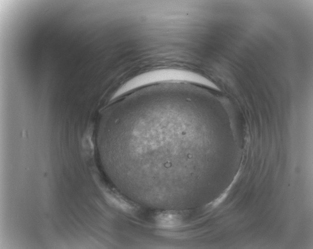 X0000068820174200605081155