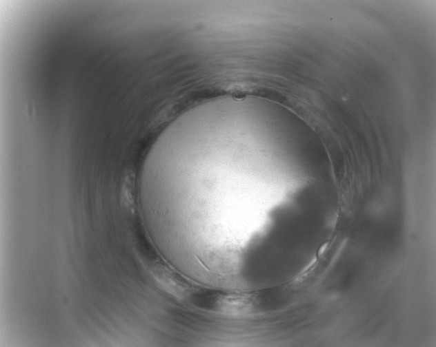 X0000068820175200605081155