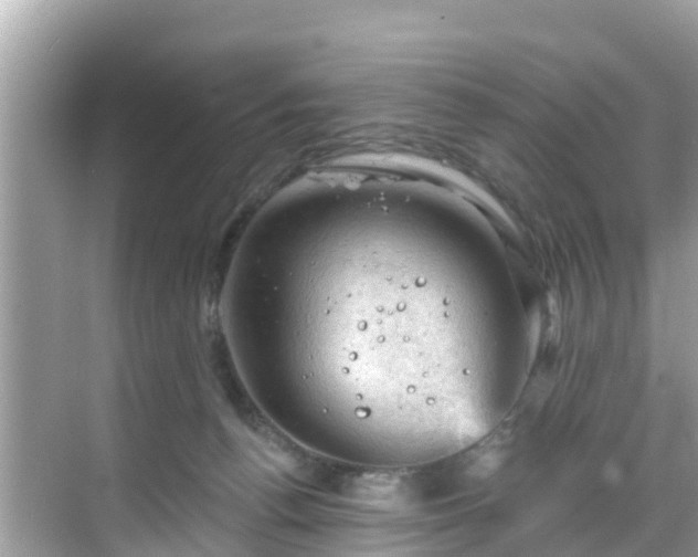 X0000068820176200605081155