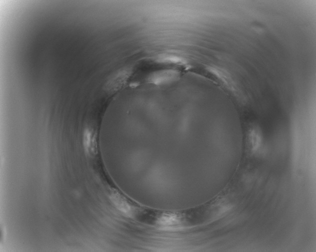 X0000068820177200605081155