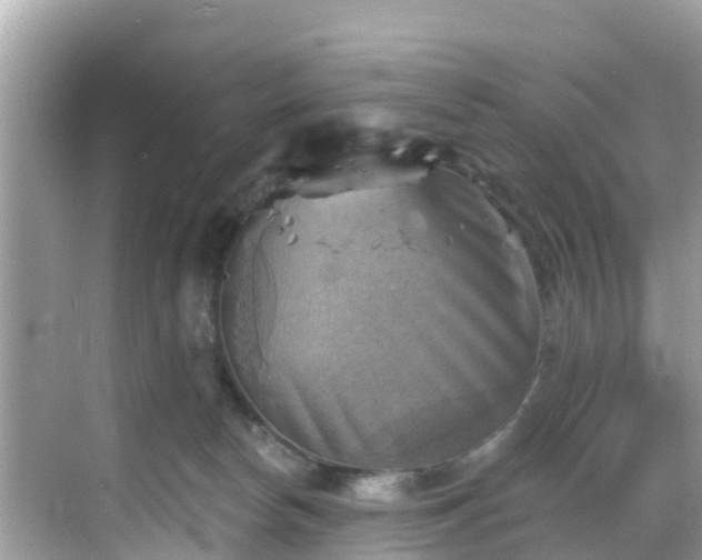 X0000068820178200605081155