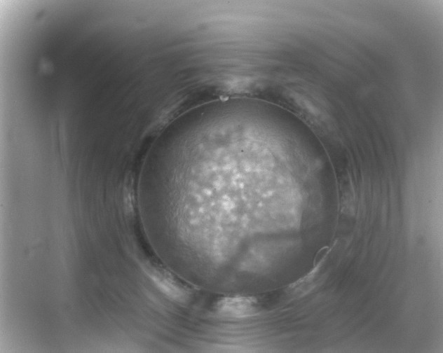 X0000068820179200605081155