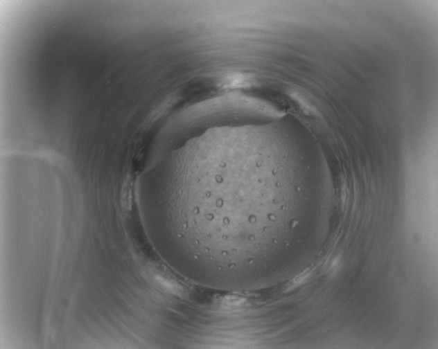 X0000068820180200605081155