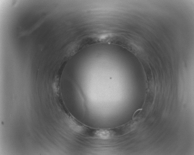 X0000068820181200605081155