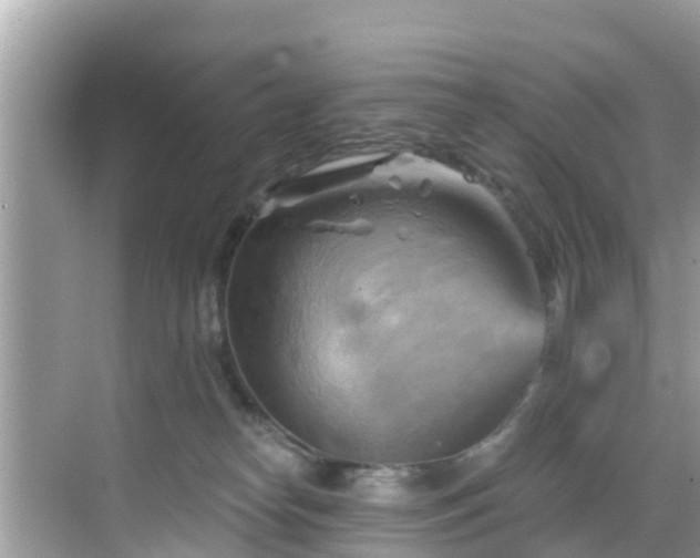 X0000068820182200605081155