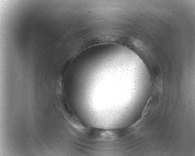 X0000068820183200605081155