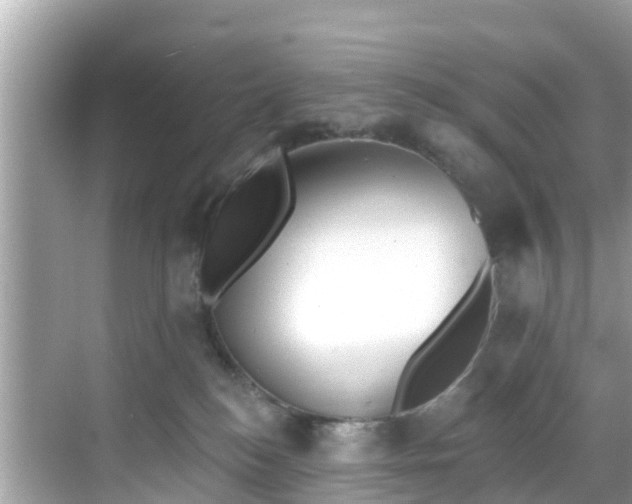 X0000068820184200605081155