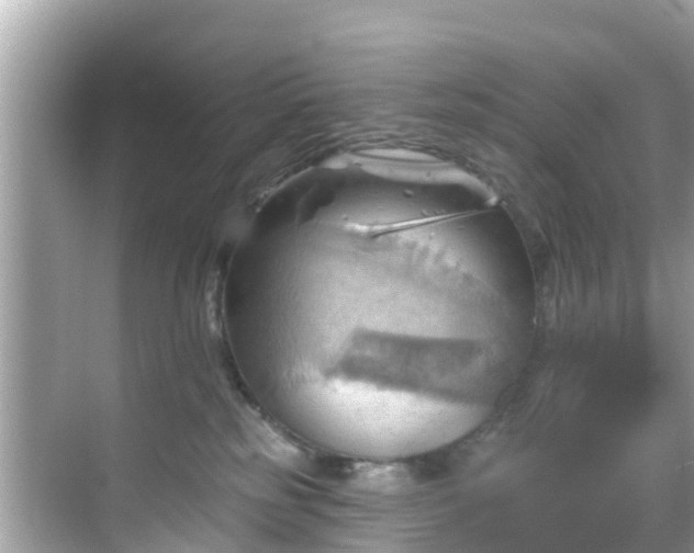 X0000068820185200605081155