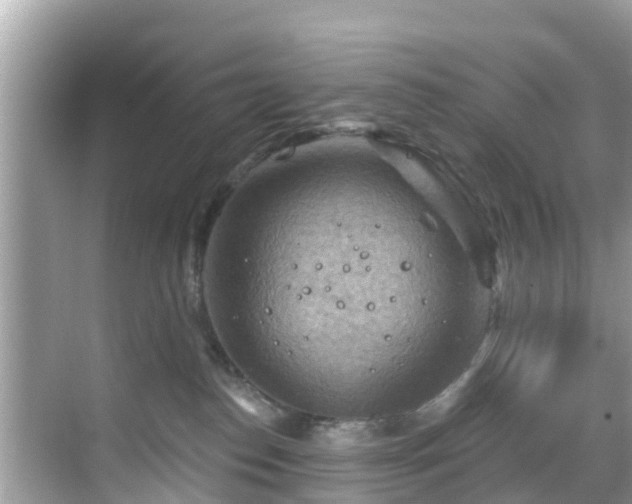 X0000068820186200605081155