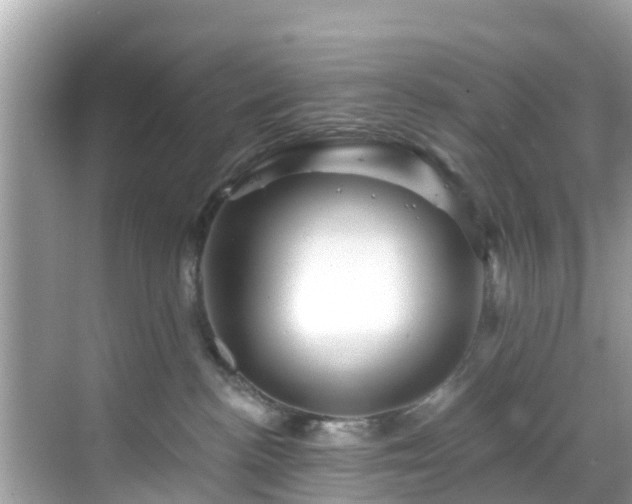 X0000068820188200605081155