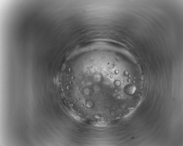 X0000068820191200605081155