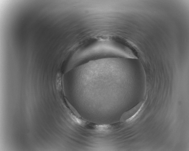 X0000068820192200605081155