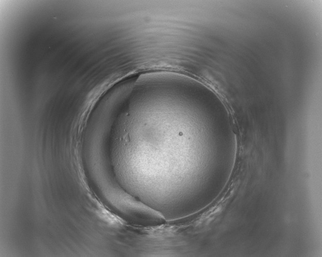 X0000068820193200605081154