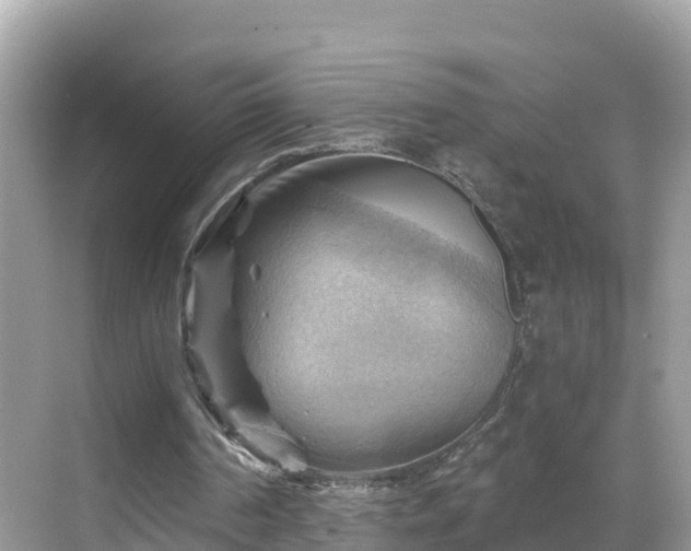 X0000068820194200605081154