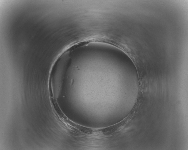 X0000068820196200605081154