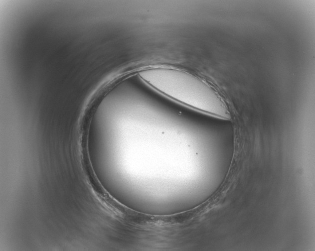 X0000068820197200605081154