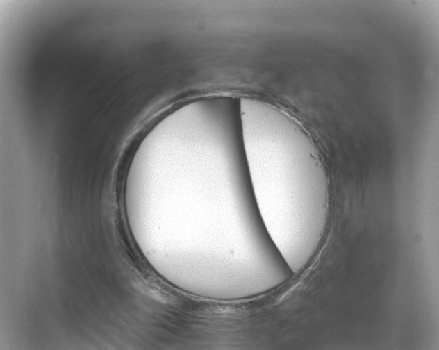 X0000068820198200605081154