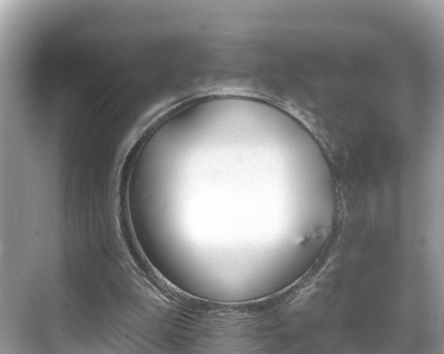 X0000068820199200605081154