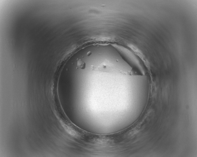 X0000068820201200605081154