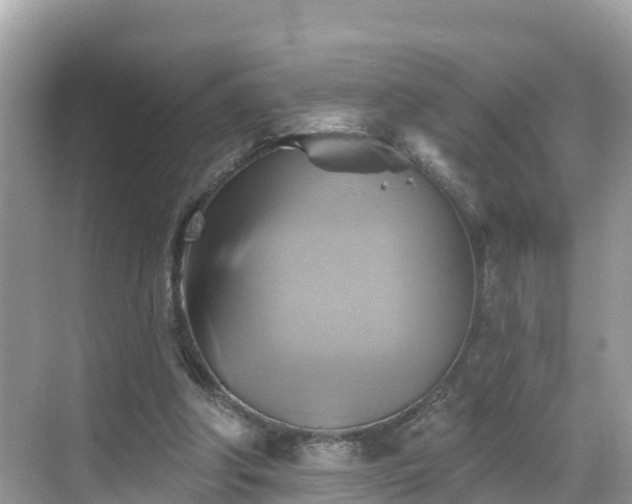 X0000068820202200605081154