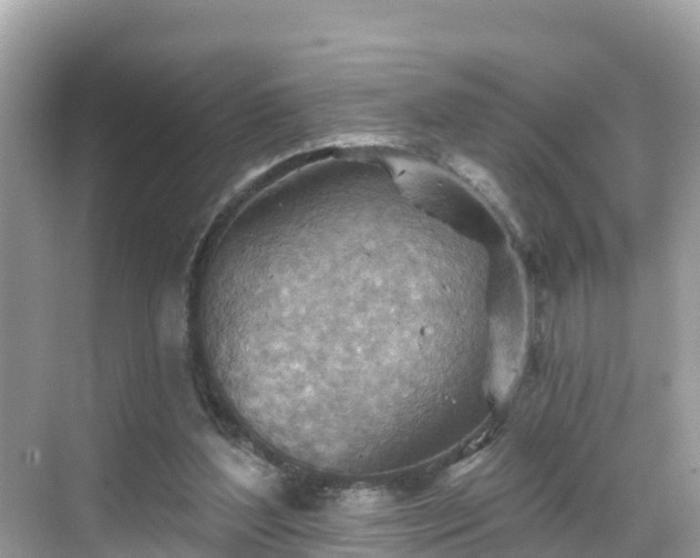 X0000068820204200605081154