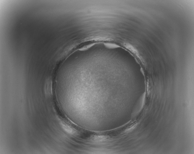 X0000068820205200605081154