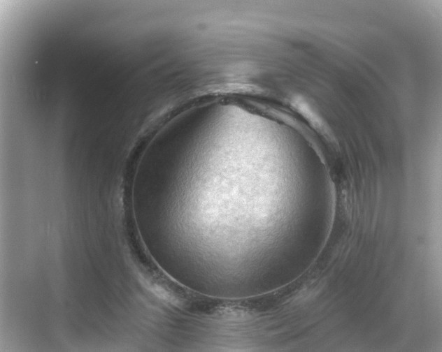 X0000068820207200605081154